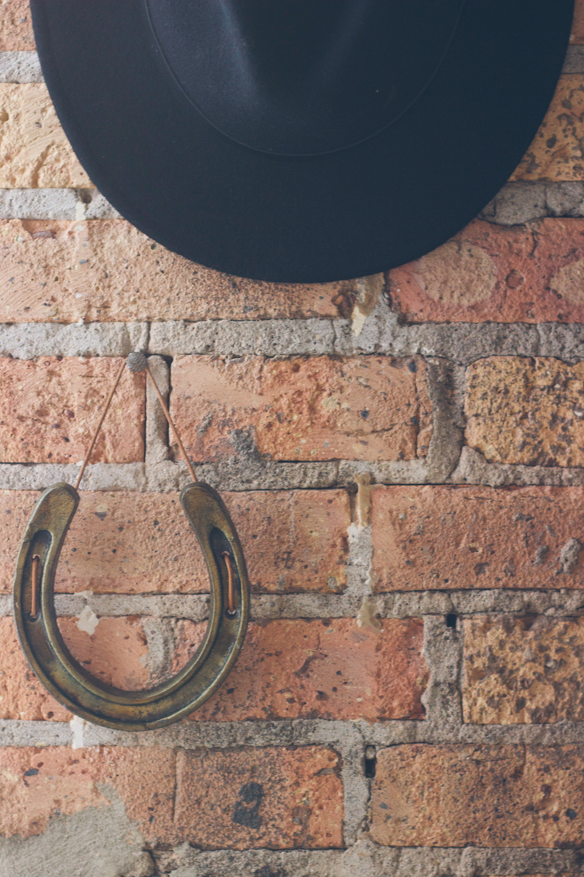 horseshoe hanging