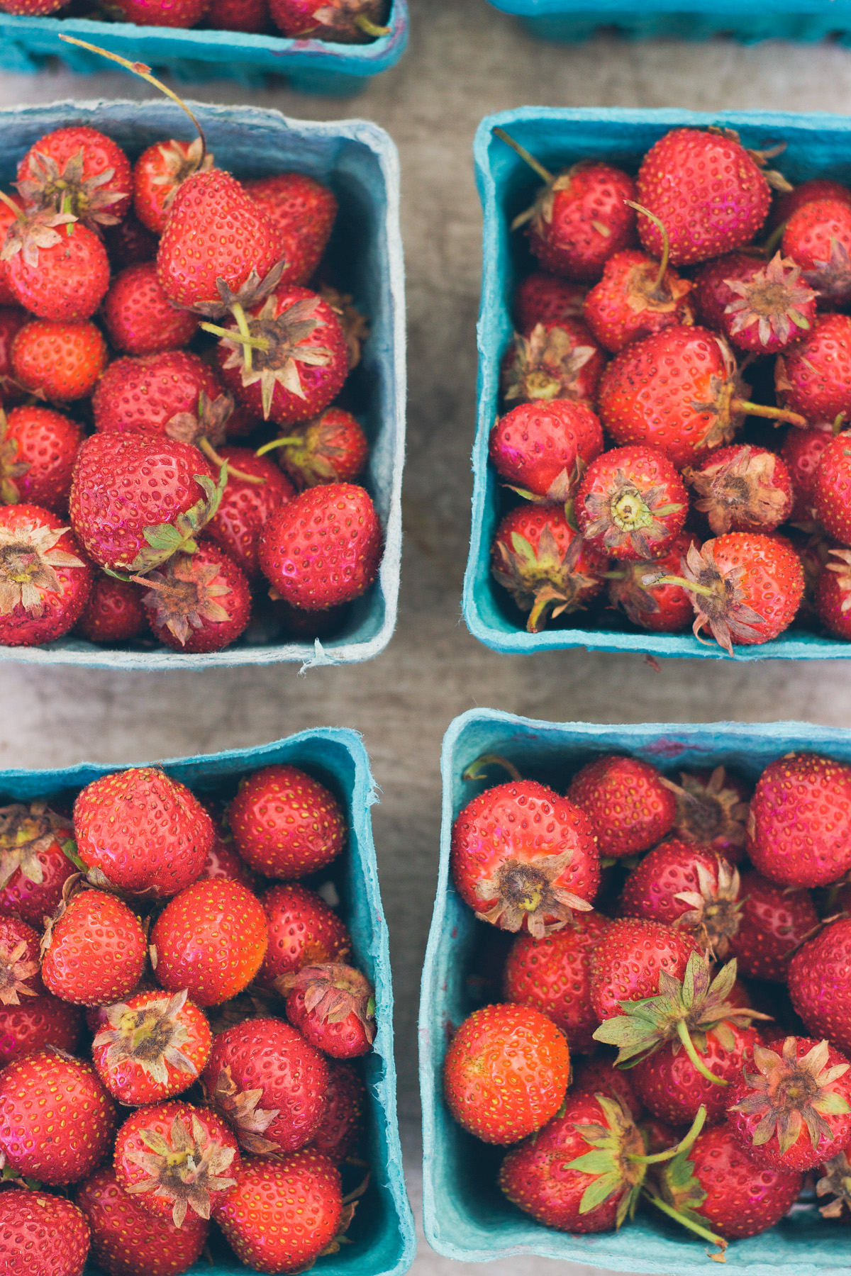 mcklug farms strawberries