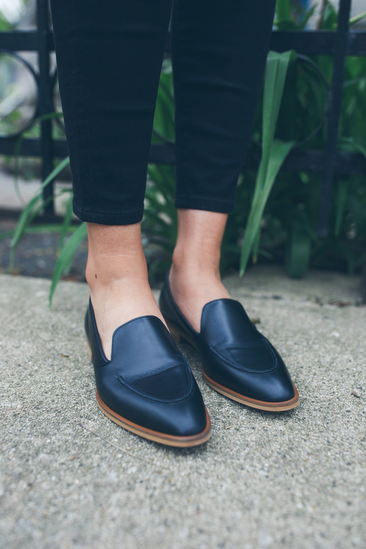 everlane loafers