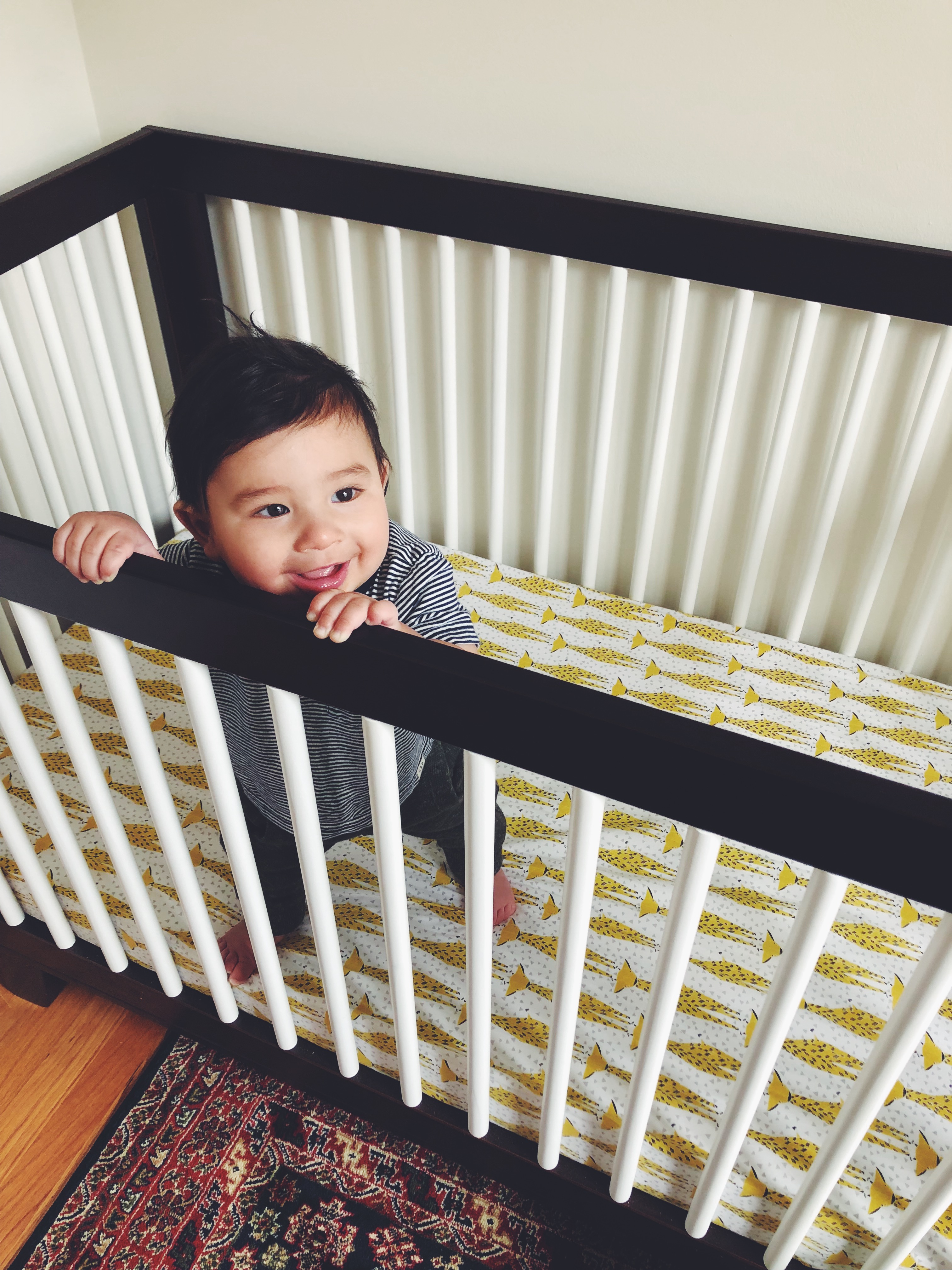 babyletto hudson crib 